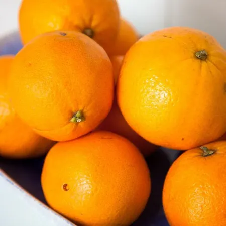 Alfama Sunny & Typical Apartment, By Timecooler * Lisbon